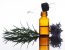 Ölen der Haare mit dem Zedernussöl – Ratschläge und Hinweise